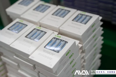 Economische efficiëntie: voordelen op lange termijn van oplaadbare lithium-io...